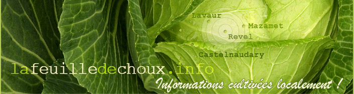 feuiile de choux